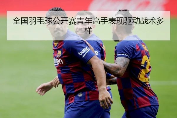 全国羽毛球公开赛青年高手表现驱动战术多样